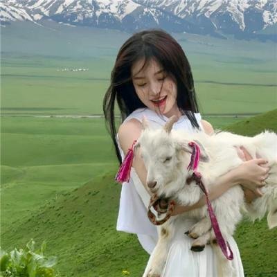 老小阿凡提